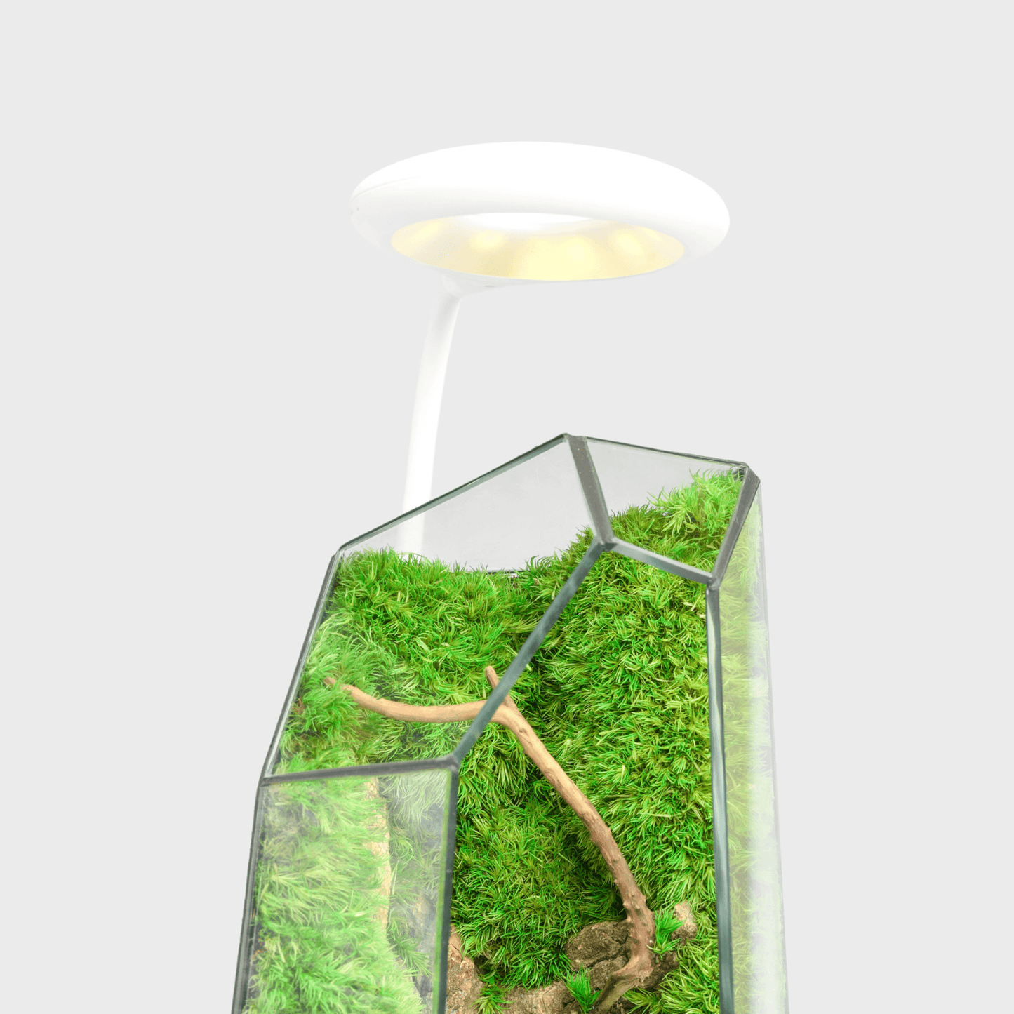 Wooden base with Warm Light