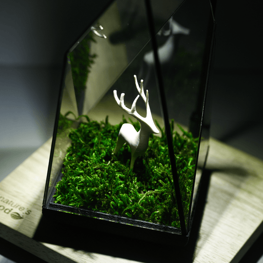 Alpine Prism