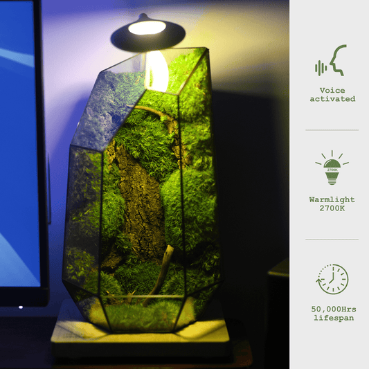 Wooden base with Warm Light