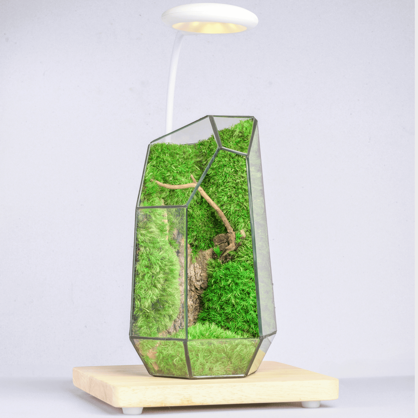Wooden base with Warm Light