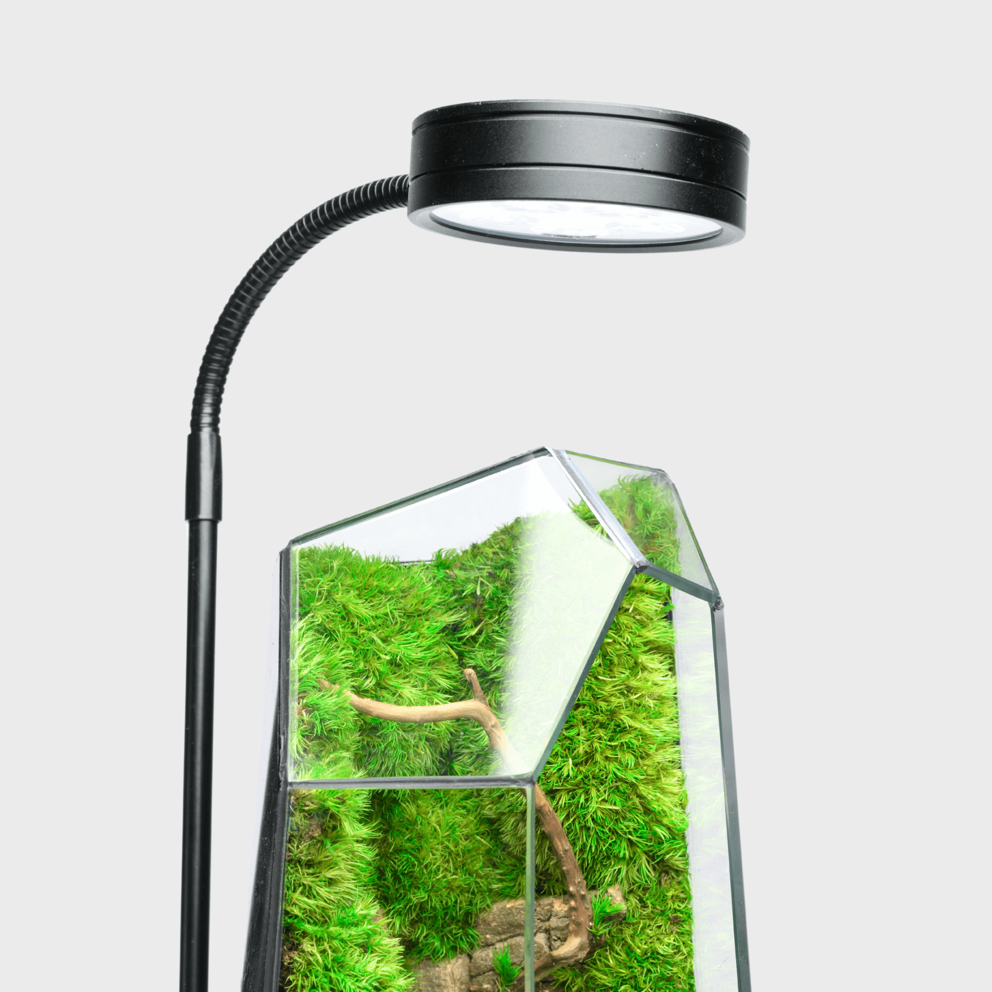 Pod Accessory Accessories – Nature’s Pod