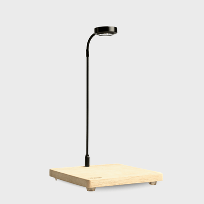 Wooden base with Light