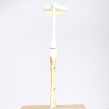 Wooden base with Warm Light