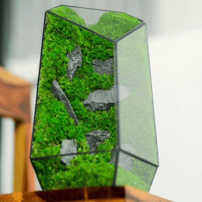 Diamond Prism