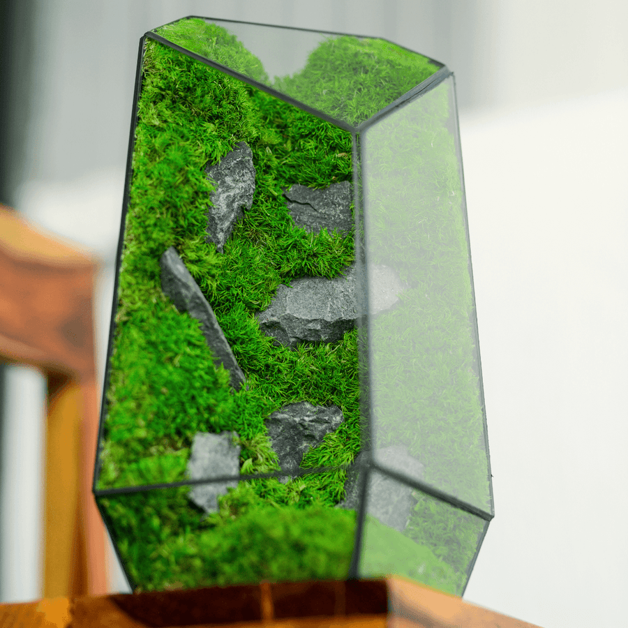 Diamond Prism – diamond-cut glass moss terrarium