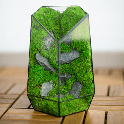 Diamond Prism