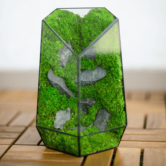 Diamond Prism