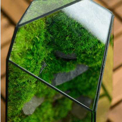 Diamond Prism
