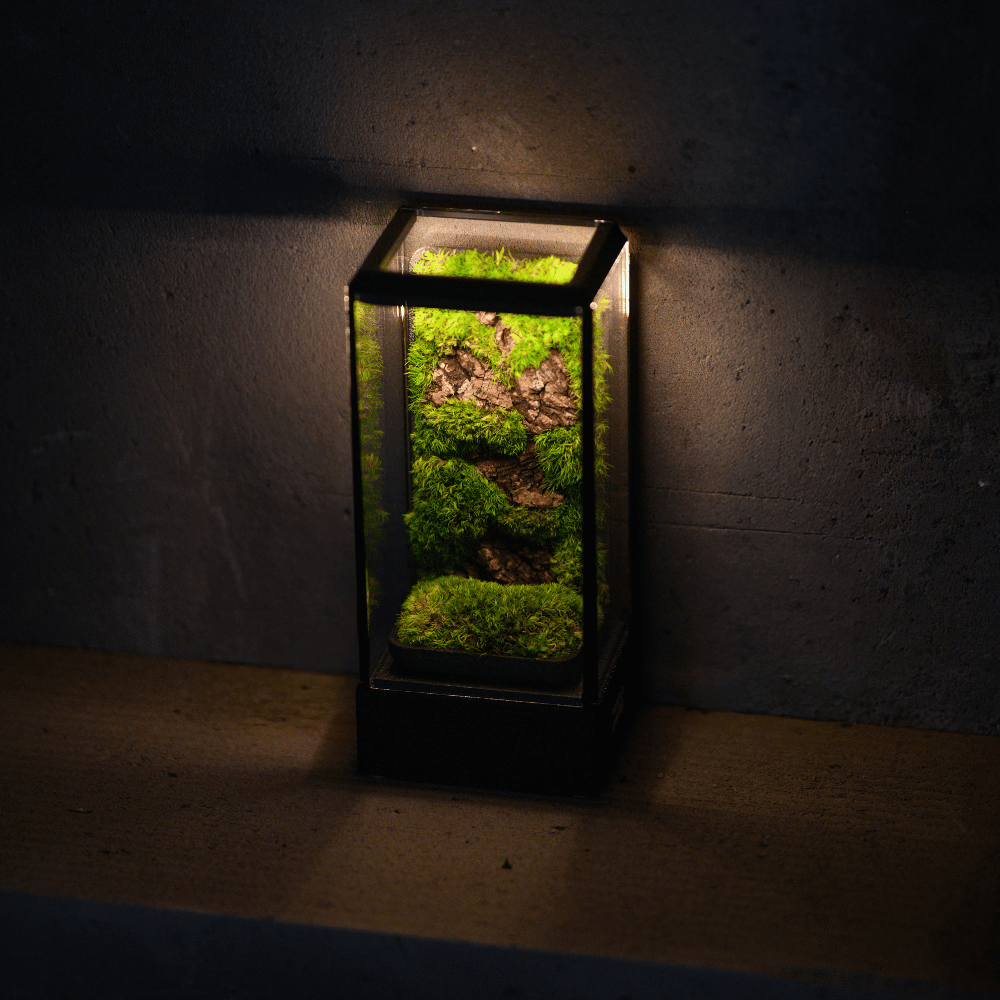 Terra GlowPod Rakhi combo