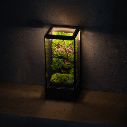 Terra GlowPod Rakhi combo