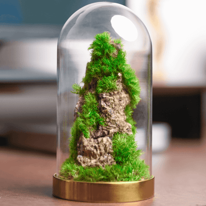 Nature's Dome