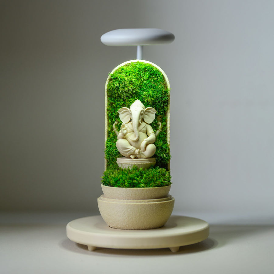 Ganesha's Pod – Lord Ganesha in preserved moss under glass