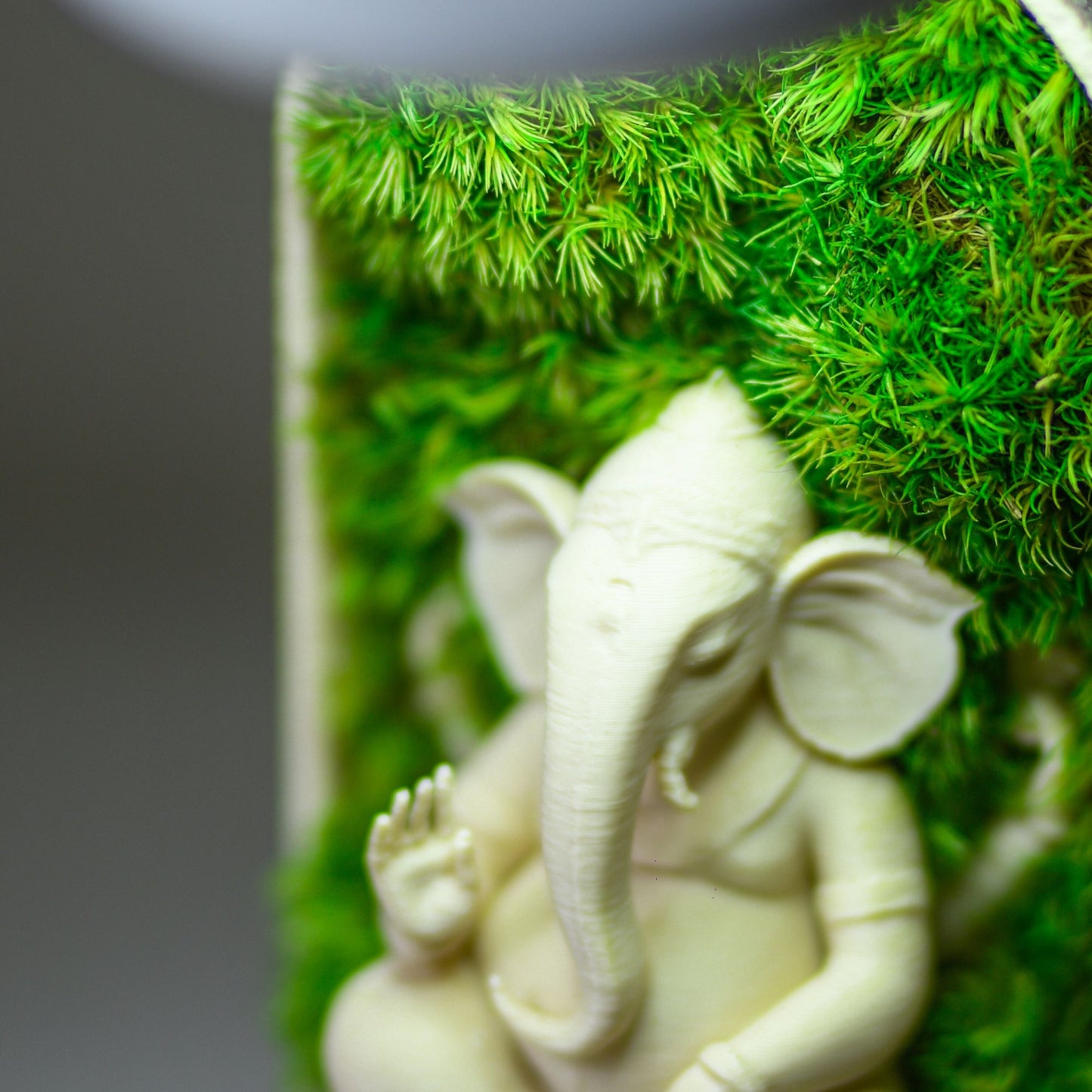 Ganesha's Pod