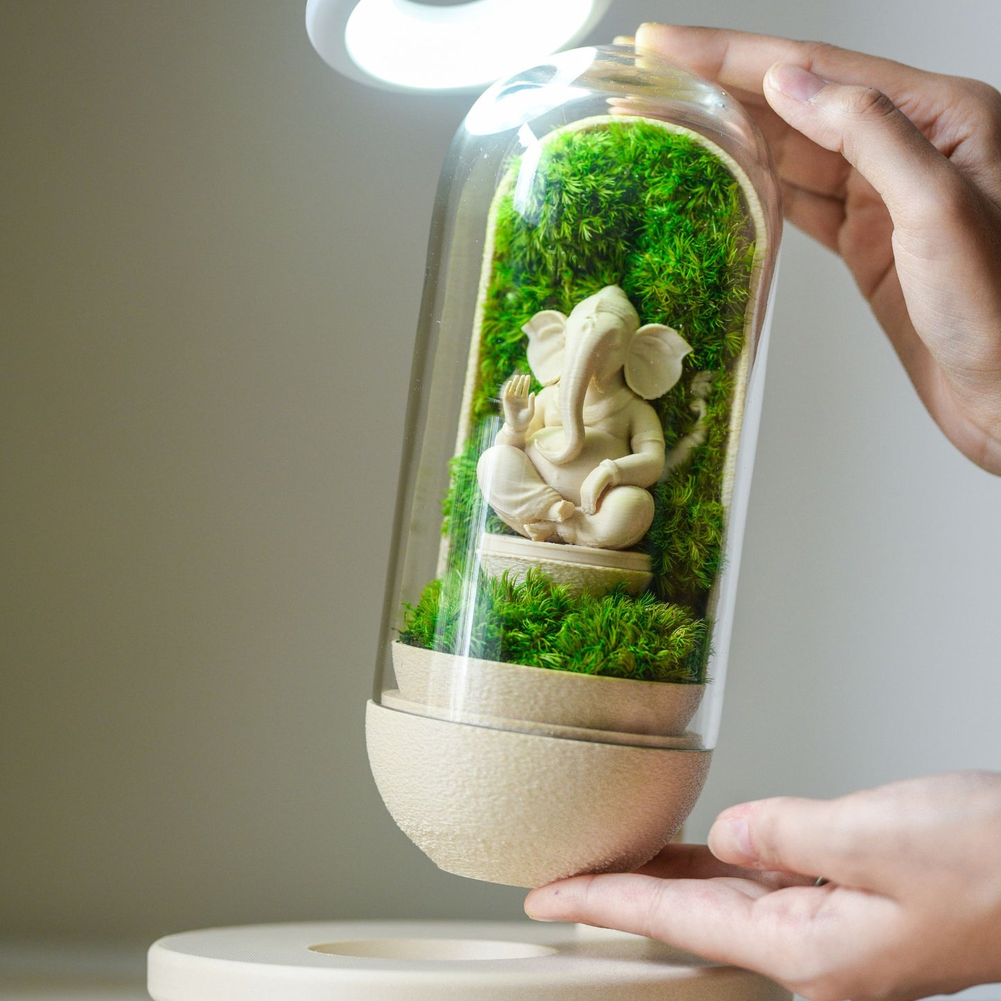 Ganesha's Pod