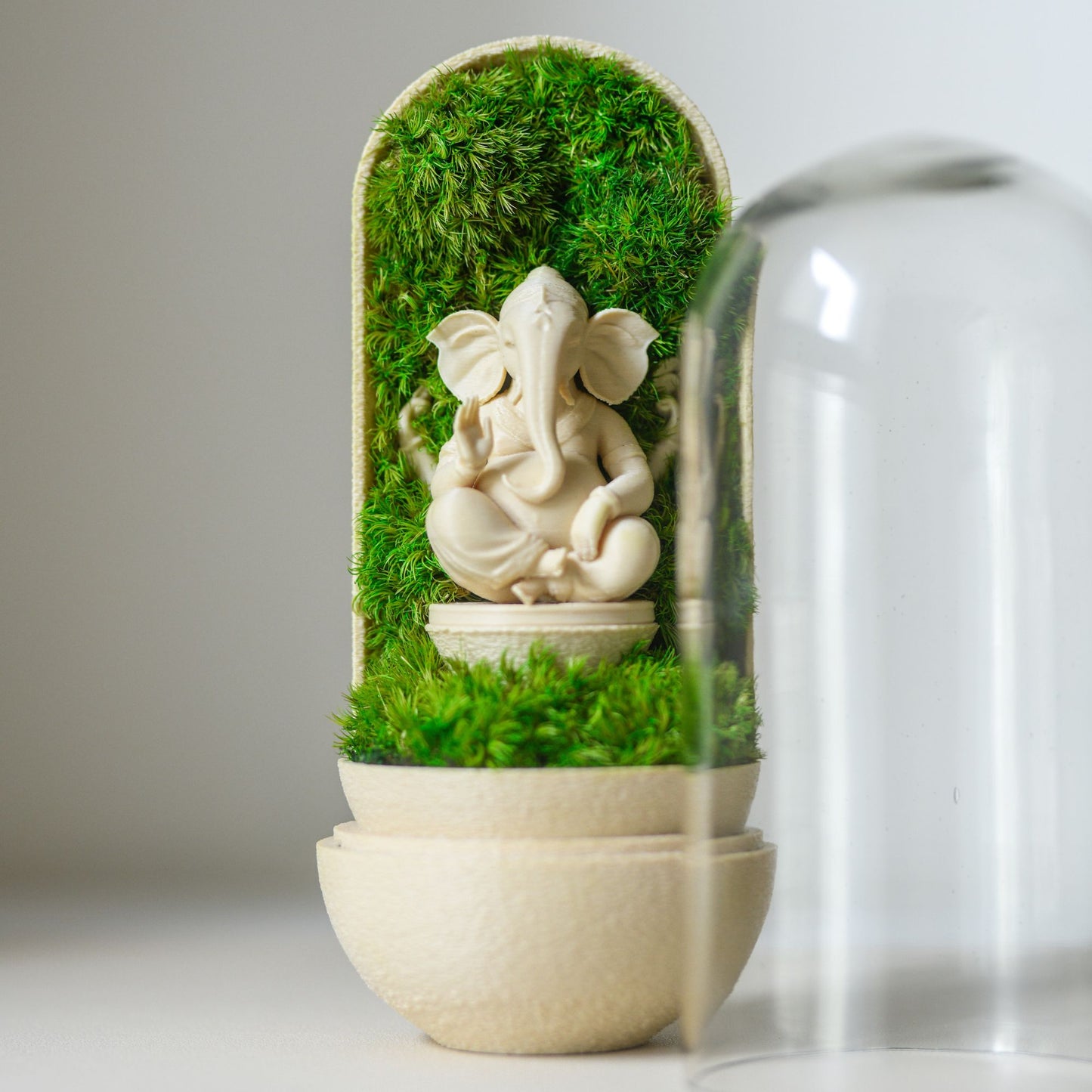 Ganesha's Pod