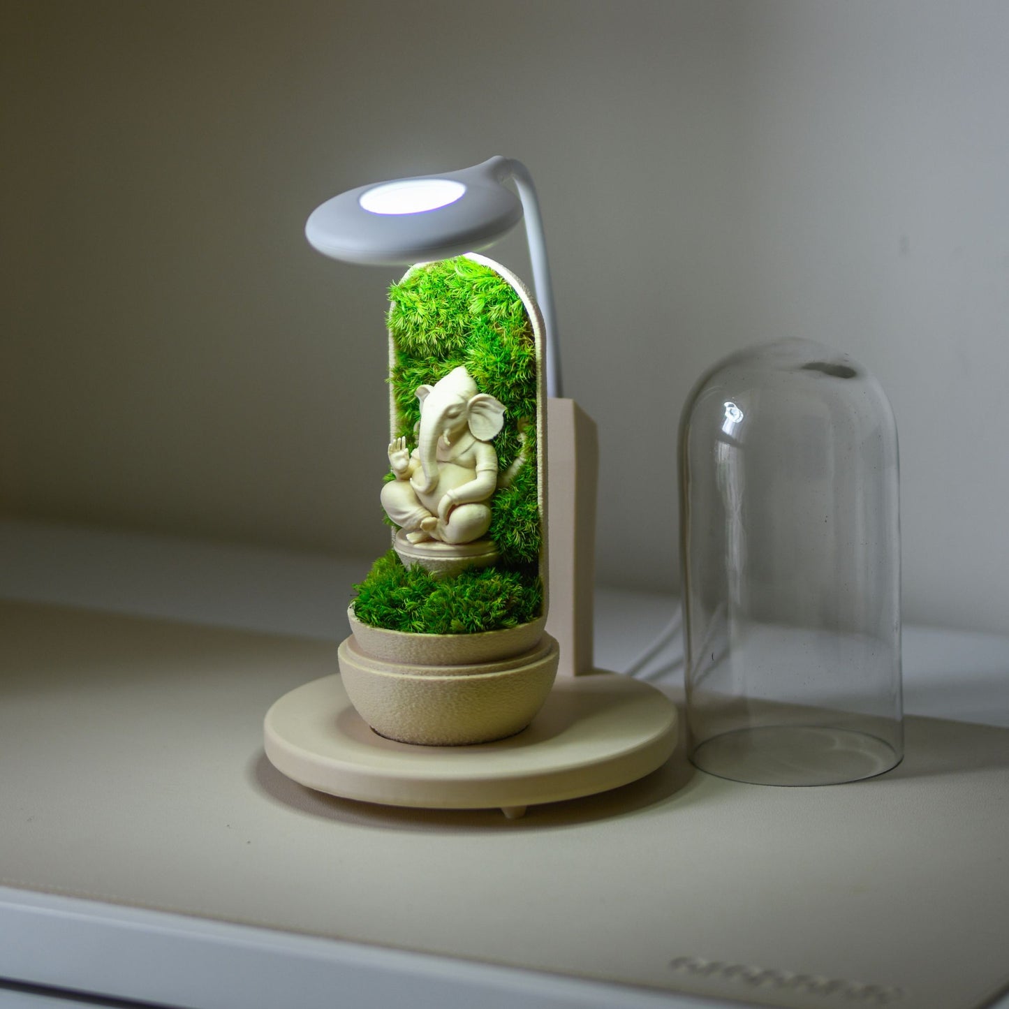 Ganesha's Pod