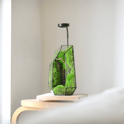 Wooden base with Light