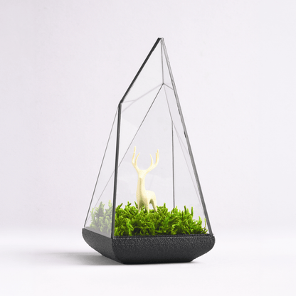Alpine Prism