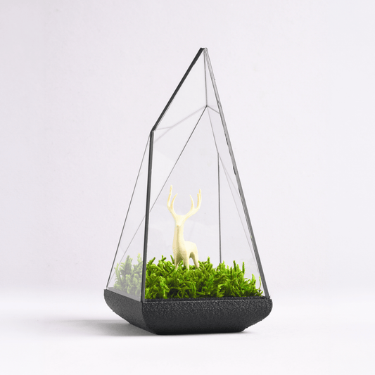 Alpine Prism