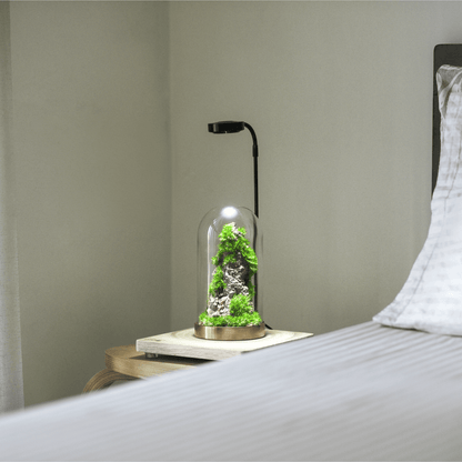 Wooden base with Light